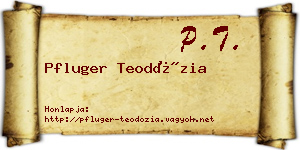 Pfluger Teodózia névjegykártya